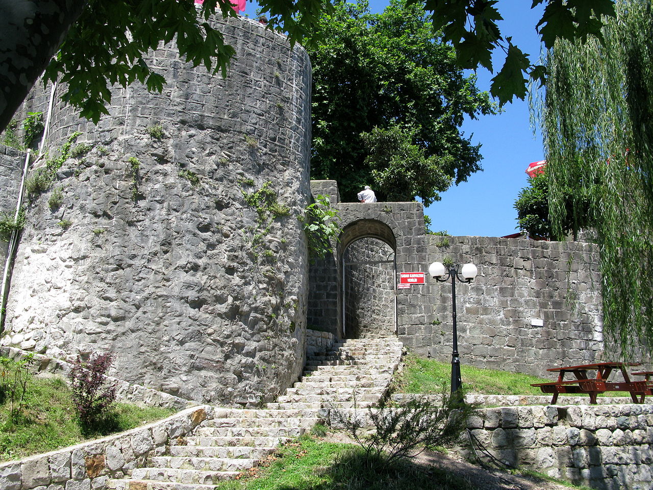 Rize